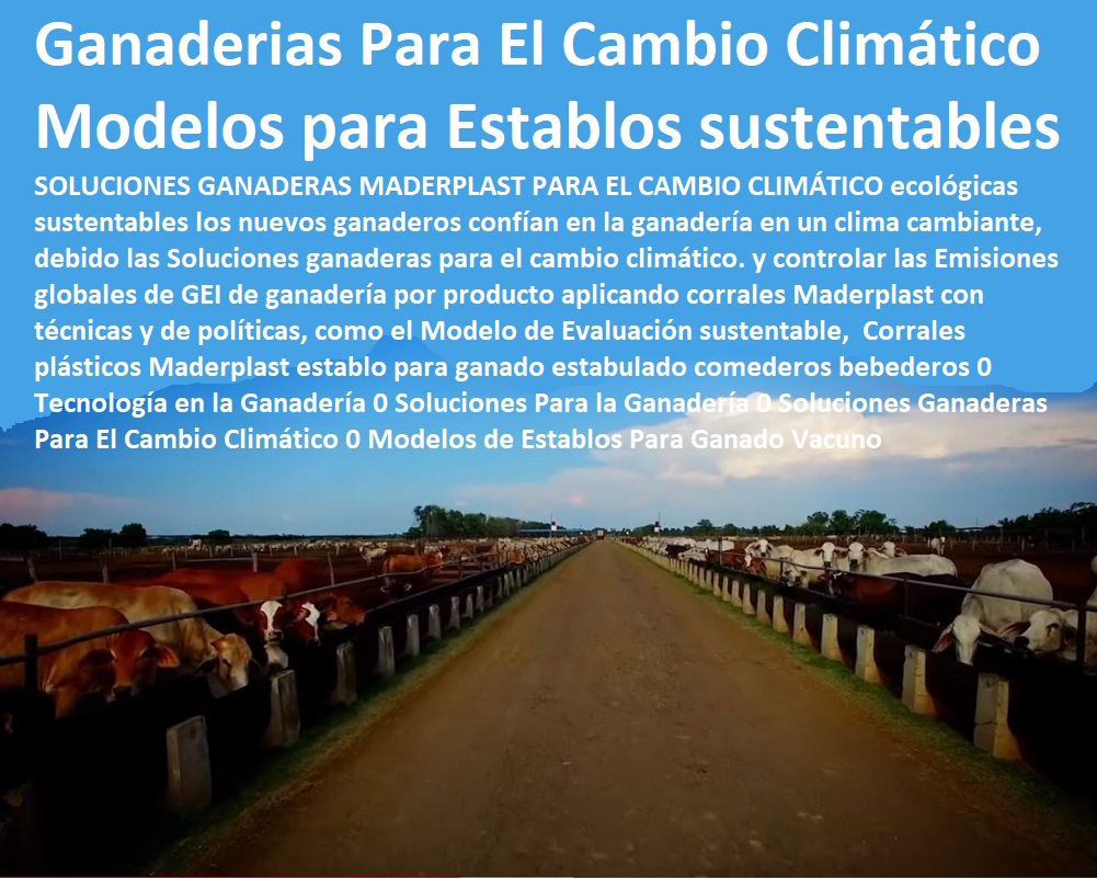 Corrales plásticos Maderplast establo para ganado estabulado comederos bebederos 0 Tecnología en la Ganadería 0 Soluciones Para la Ganadería 0 Ganaderías Tecnificadas, Explotación Ganadera Automatizada, Sistemas de Pastoreo, Estabulación de Ganado, Pastoreo Intensivo, Establos, Corrales, Saladeros, Comederos, Cerramientos, Postes, Soluciones Ganaderas Para El Cambio Climático 0 Modelos de Establos Para Ganado Vacuno Corrales plásticos Maderplast establo para ganado estabulado comederos bebederos 0 Tecnología en la Ganadería 0 Soluciones Para la Ganadería 0 Soluciones Ganaderas Para El Cambio Climático 0 Modelos de Establos Para Ganado Vacuno